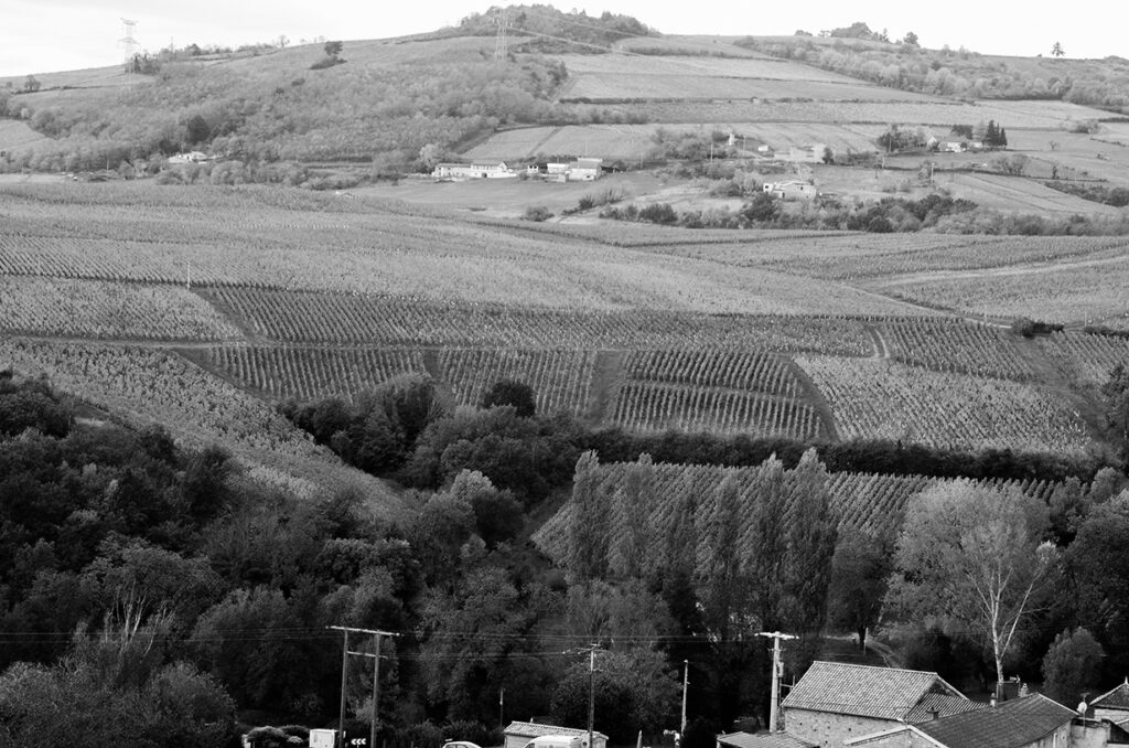 coteaux bourguignons