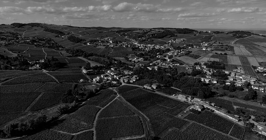 Beaujolais-Leynes