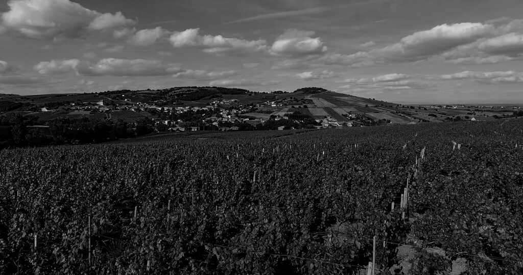 coteaux bourguignons