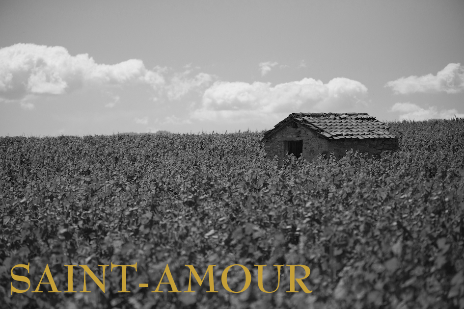 Saint-Amour