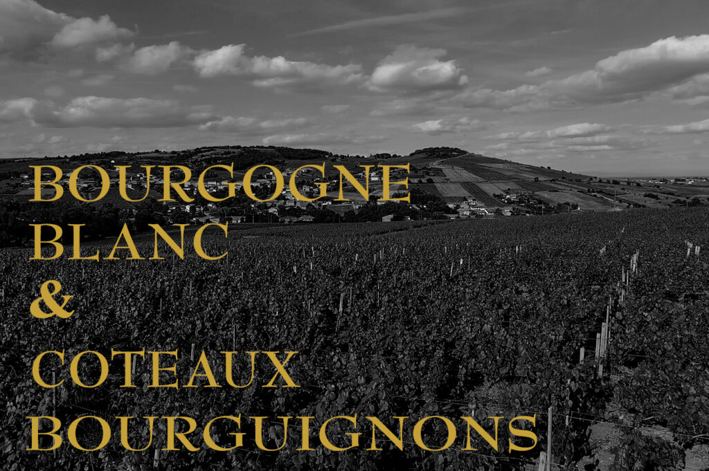 Les Terroirs Coteaux Bourguignons et Bourgogne Blanc