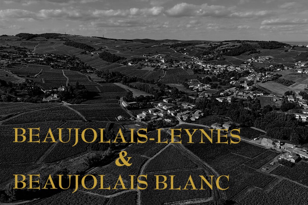 Les Terroirs Beaujolais-Villages-Leynes et Beaujolais Blanc