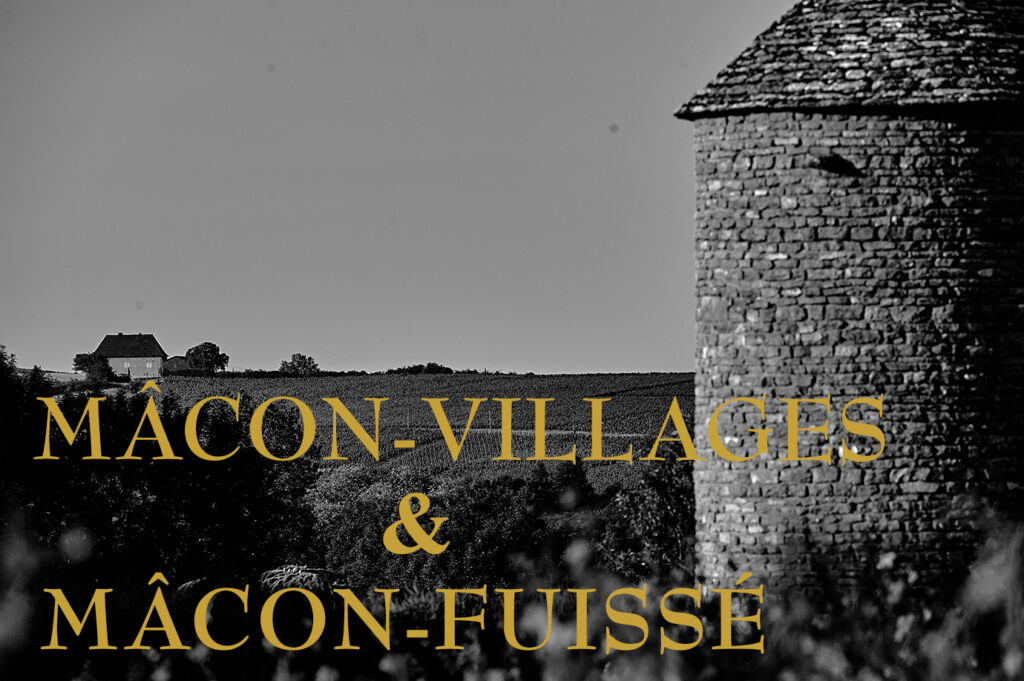 Les Terroirs Mâcon-Villages et Mâcon-Fuissé
